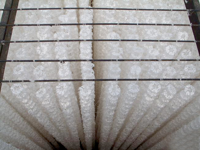 半軟性填料有什么特征？